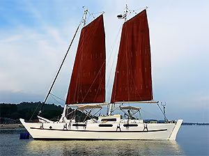 Wharram 46