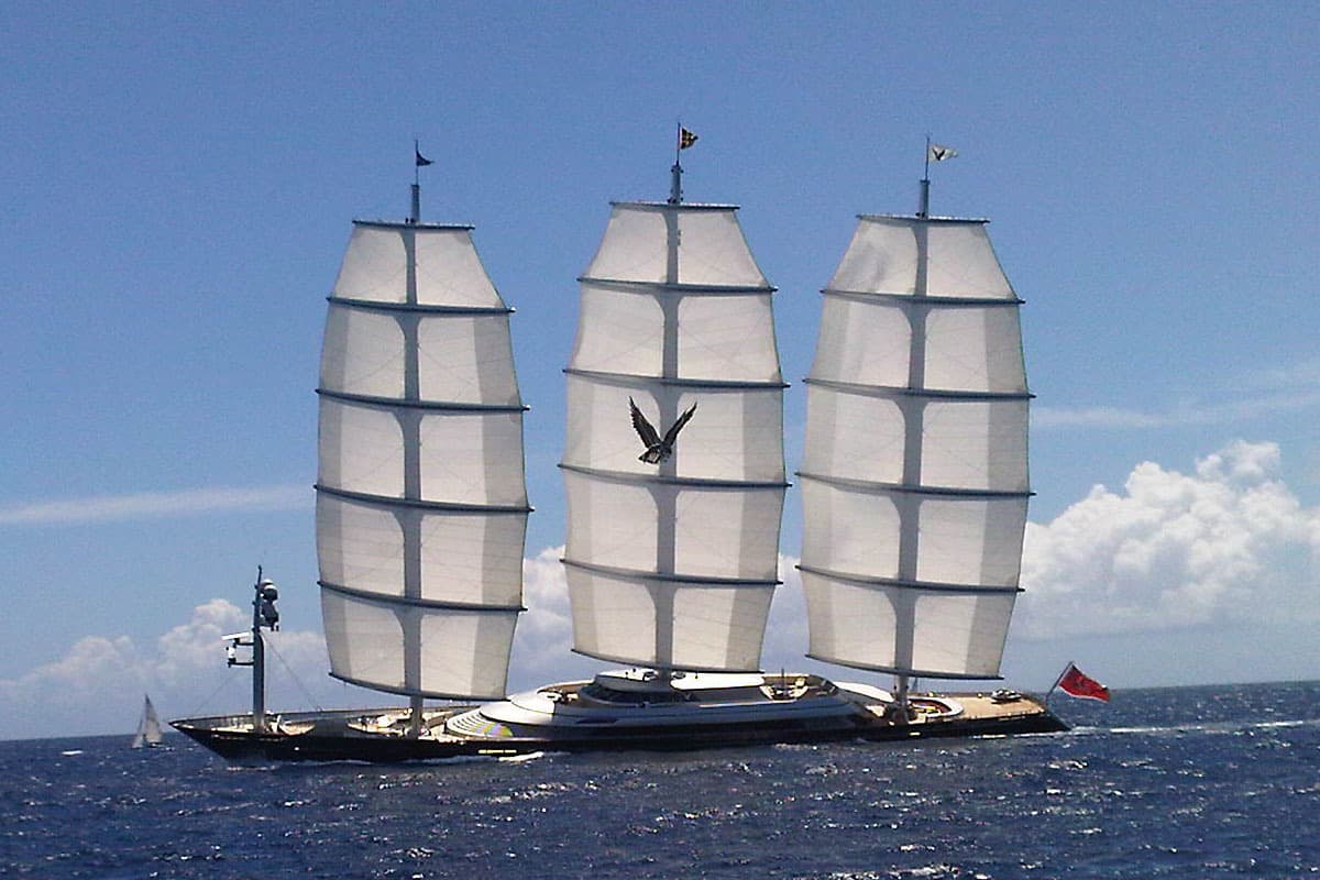 Maltese Falcon